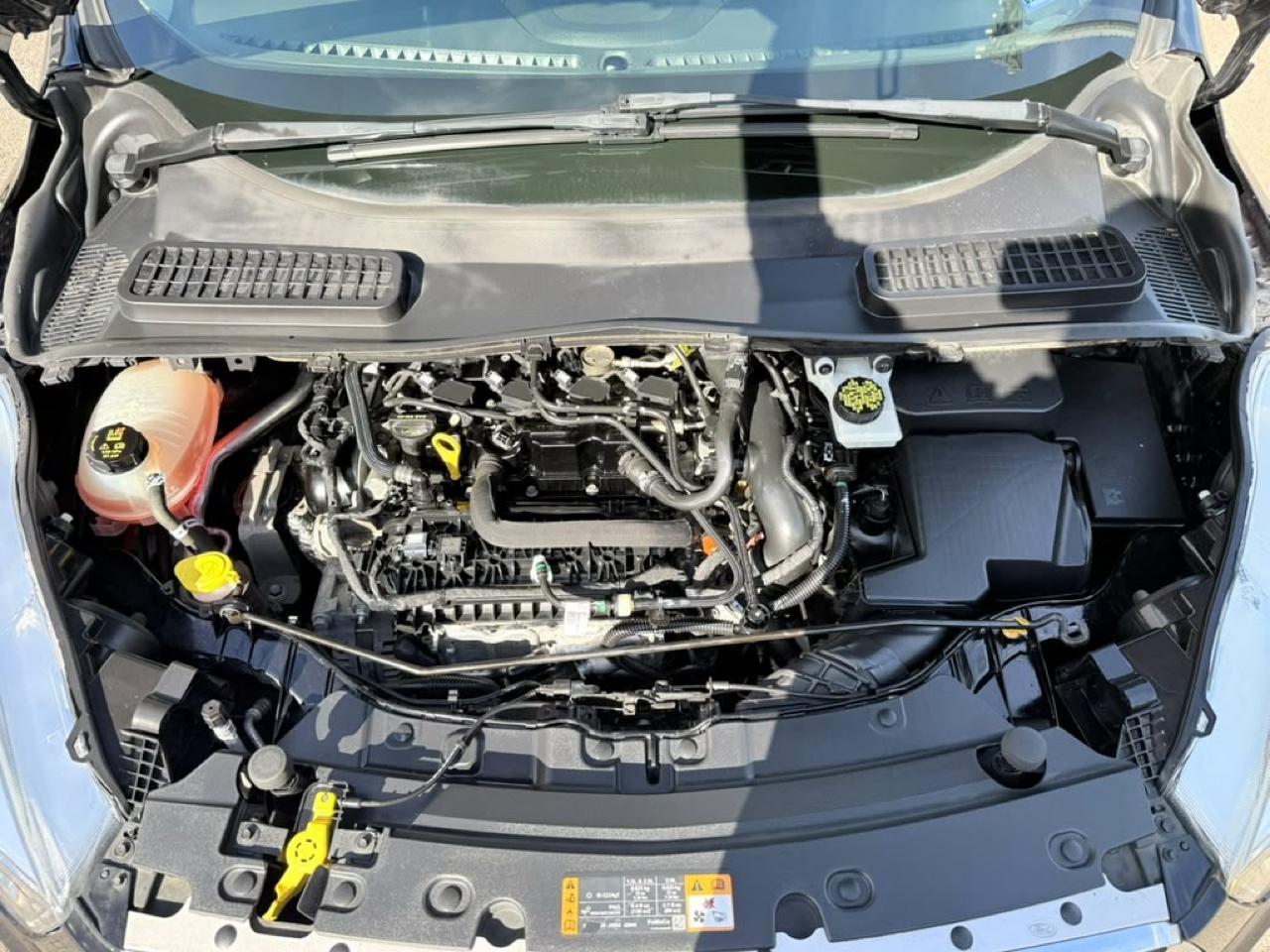 Ford Escape SE 4WD 2019