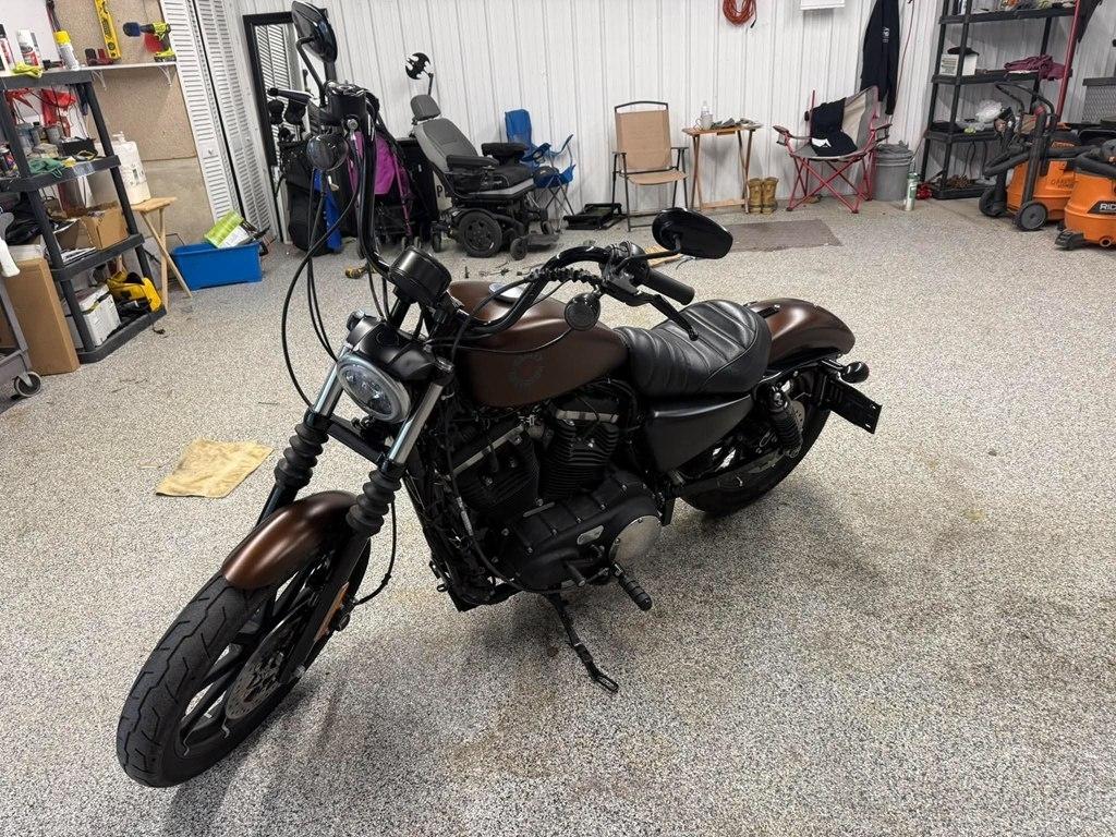 2019 Harley-Davidson XL883N 