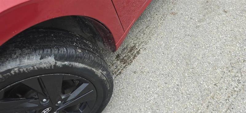 Hyundai Elantra SEL 2021