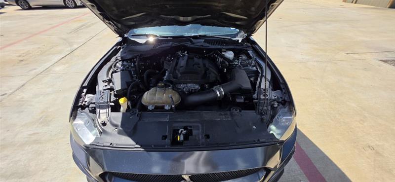 Ford Mustang EcoBoost Coupe 2019