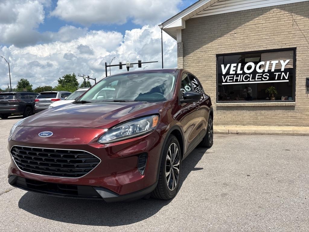 2021 Ford Escape SE FWD's photo