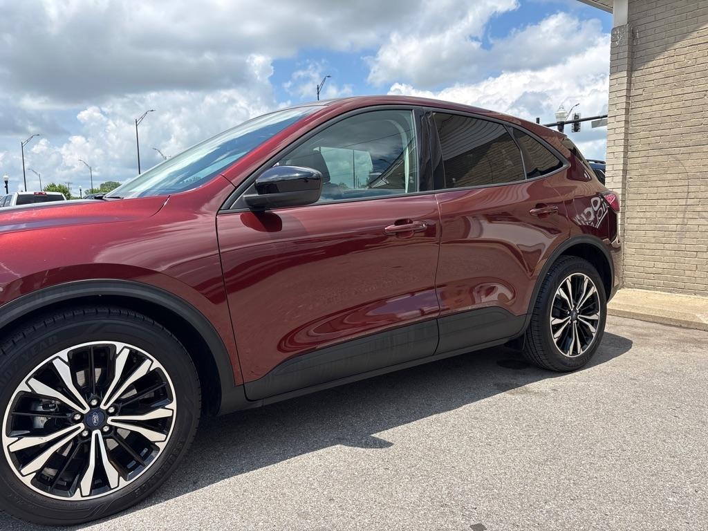 Ford Escape SE FWD 2021