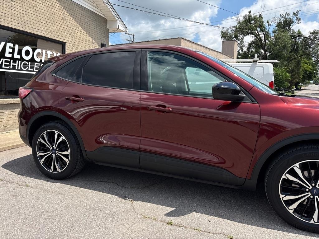 Ford Escape SE FWD 2021