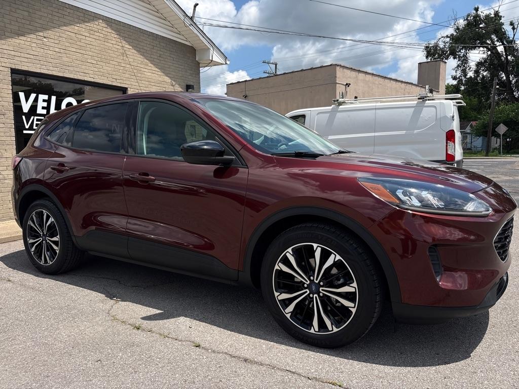 Ford Escape SE FWD 2021