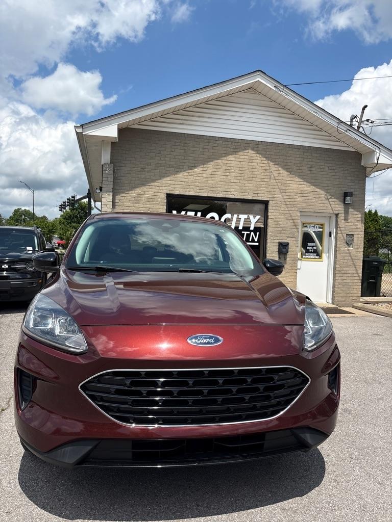 Ford Escape SE FWD 2021