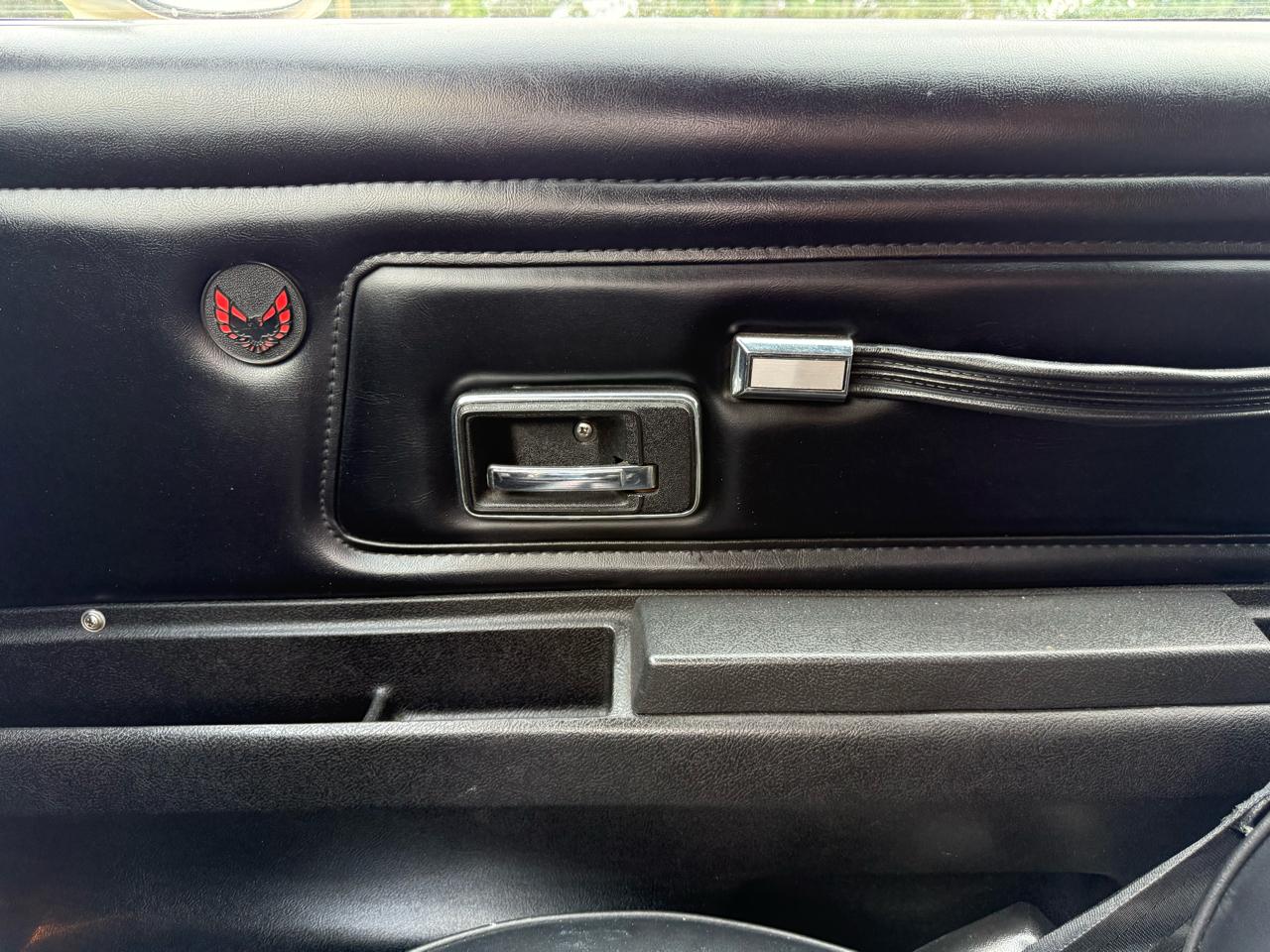 Pontiac Firebird 2dr Coupe Formula 1977