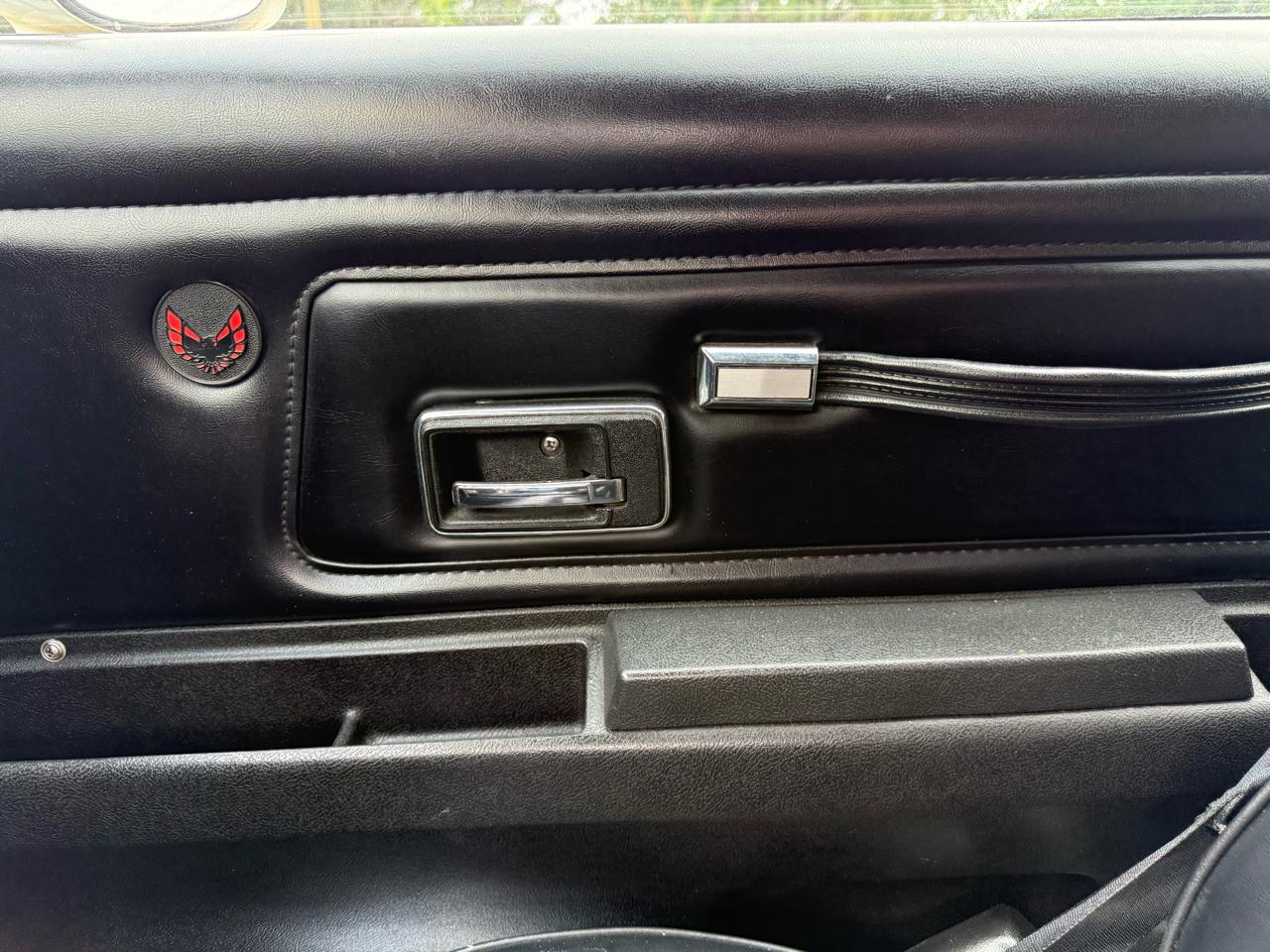 Pontiac Firebird 2dr Coupe Formula 1977