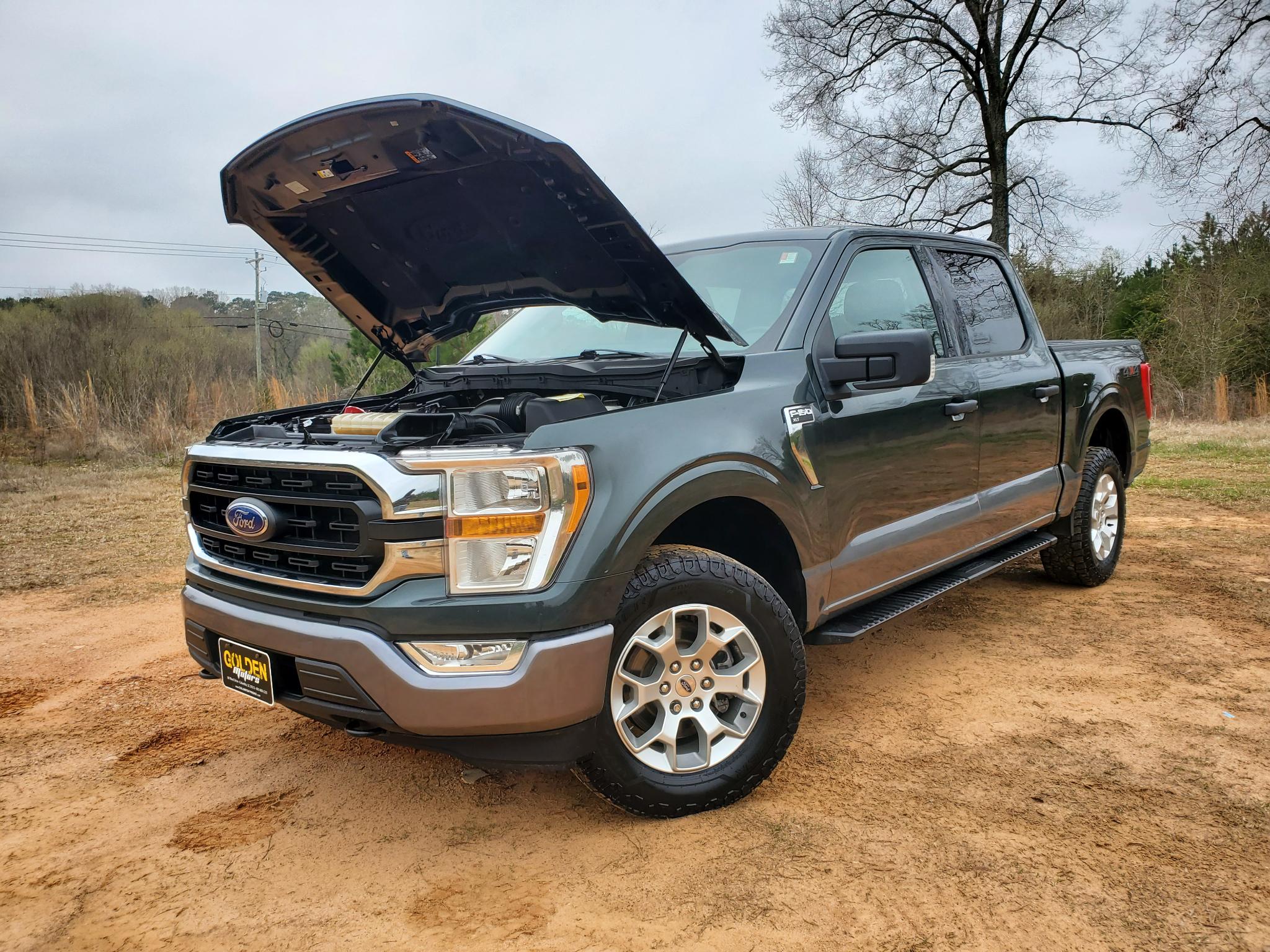 Ford F-150  2021