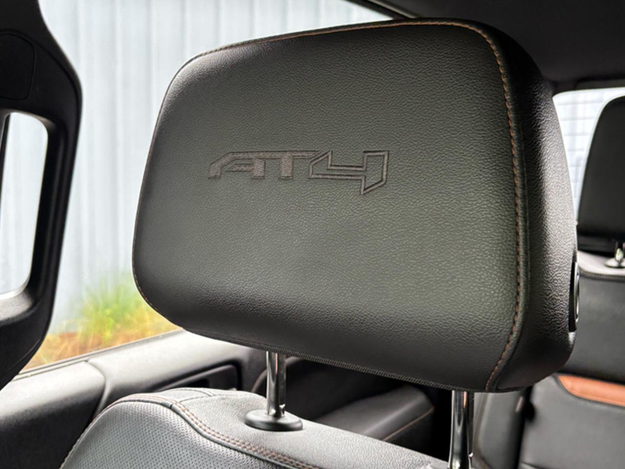 GMC Sierra 1500 4WD Crew Cab 147" AT4 2019