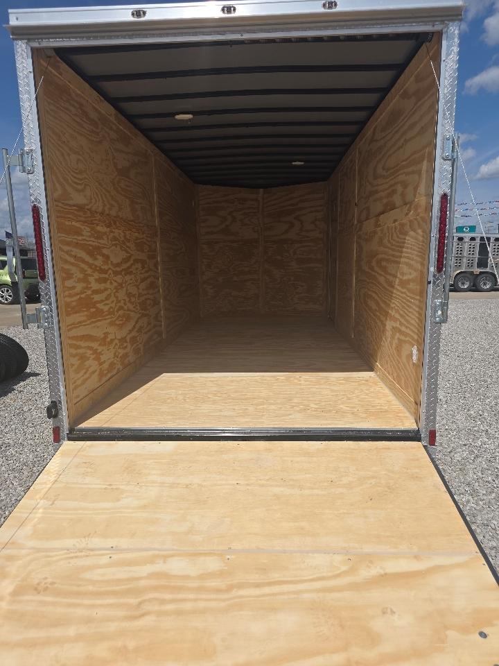 Cynergy Cargo Trailer  2026