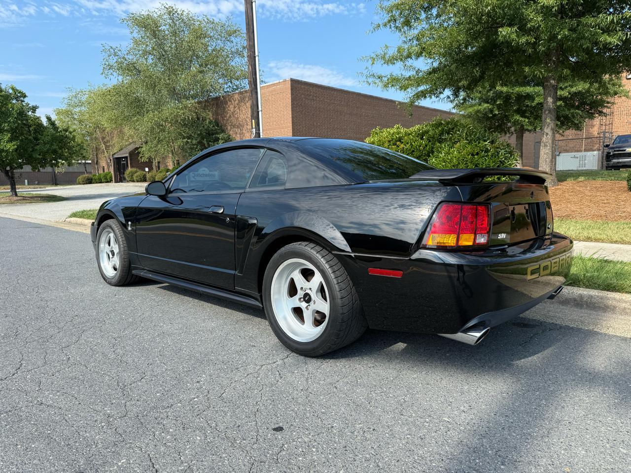2001 Ford Mustang Cobra SVT - Photo 6