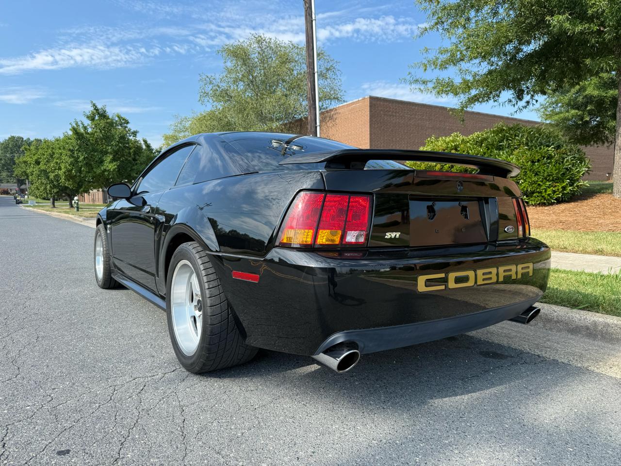 2001 Ford Mustang Cobra SVT - Photo 7
