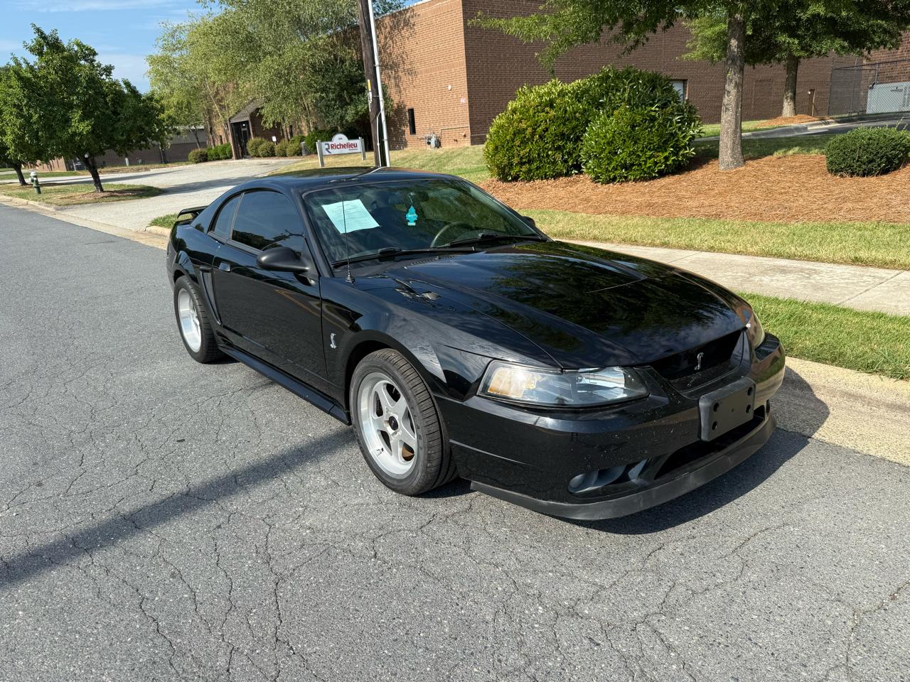 2001 Ford Mustang Cobra SVT - Photo 8