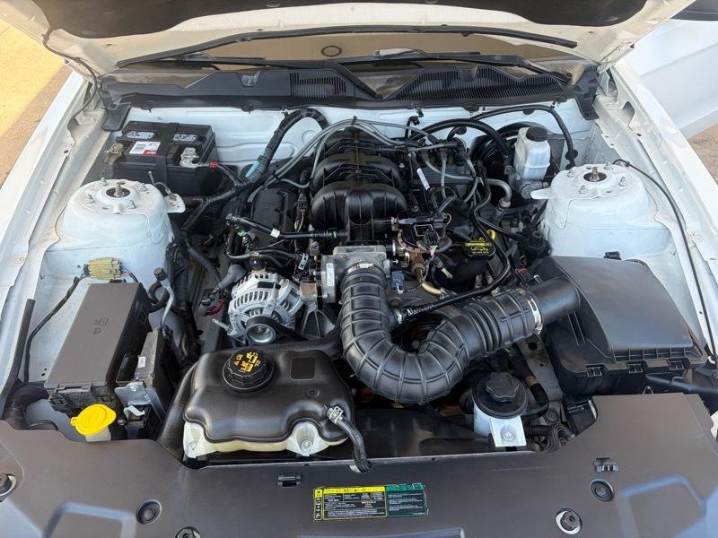 Ford Mustang Premium Coupe 2010