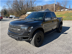 2010 Ford F-150 