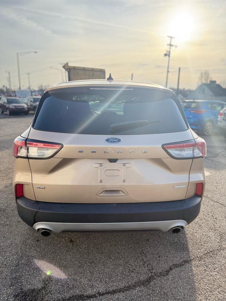 Ford Escape SE 2020
