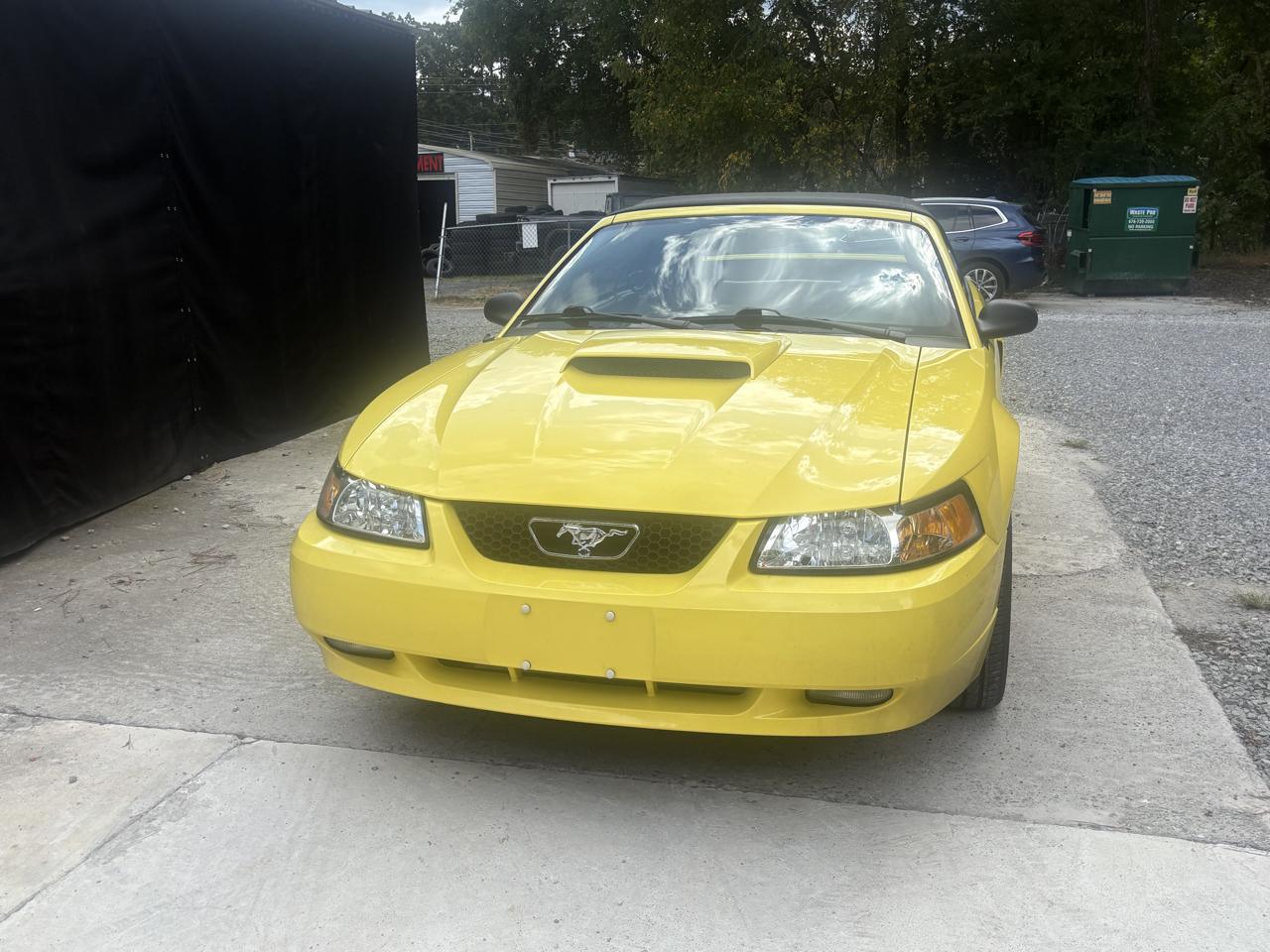 Ford Mustang GT Deluxe Convertible 2001