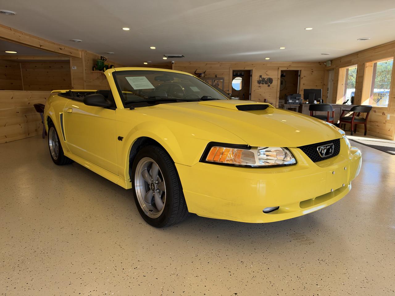 Ford Mustang GT Deluxe Convertible 2001