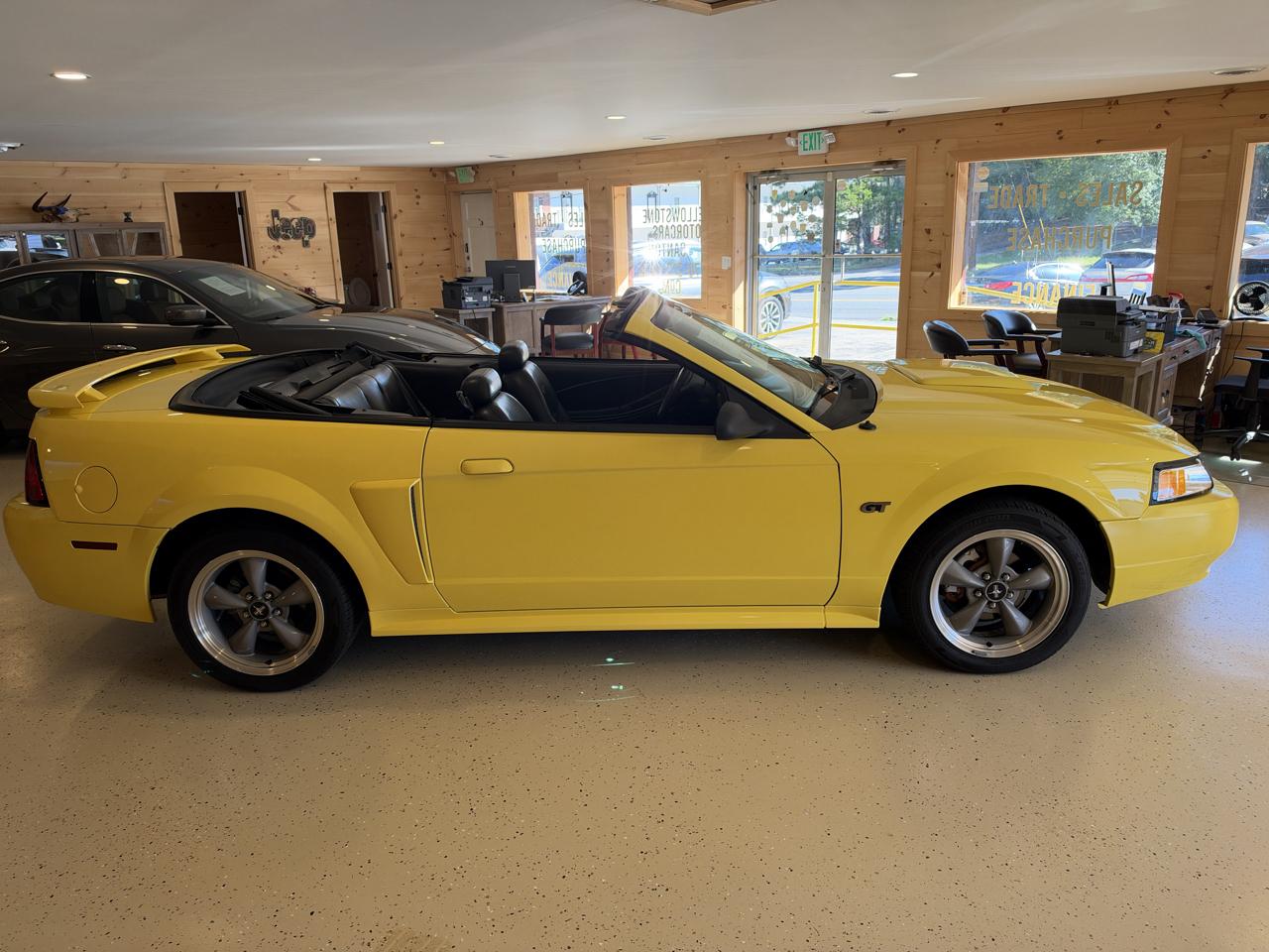 Ford Mustang GT Deluxe Convertible 2001