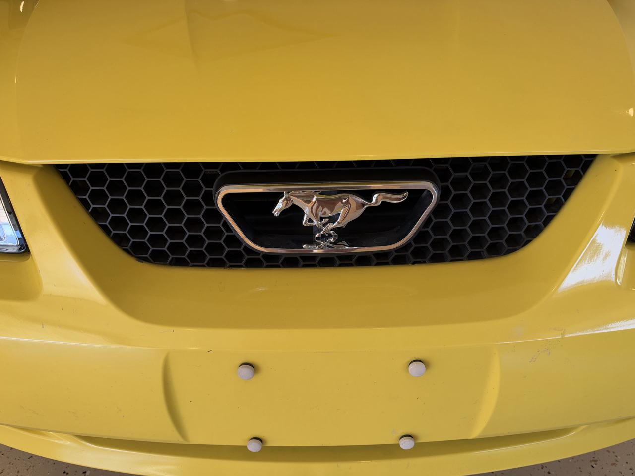 Ford Mustang GT Deluxe Convertible 2001