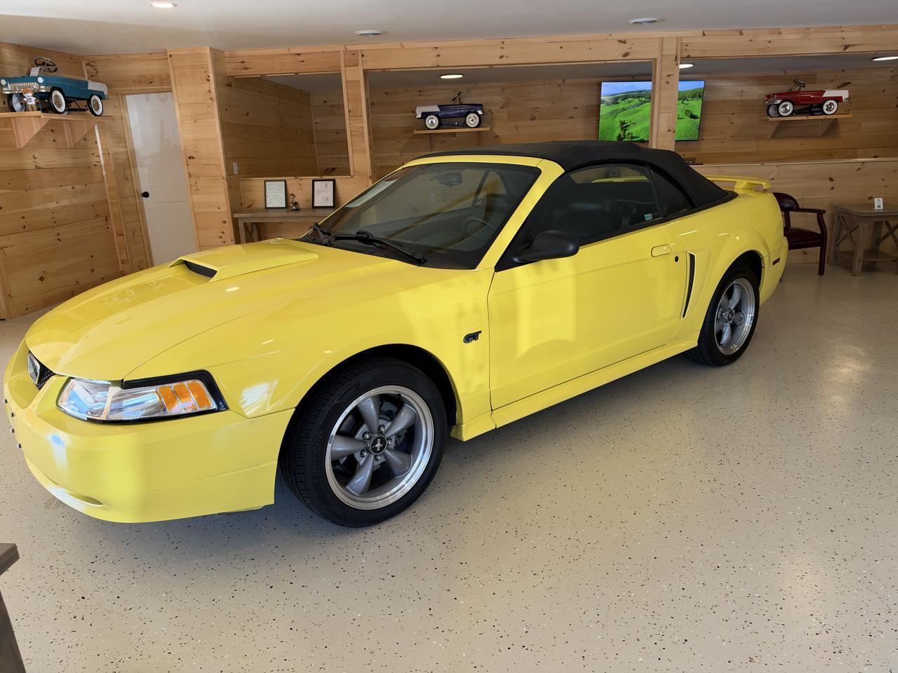 Ford Mustang GT Deluxe Convertible 2001