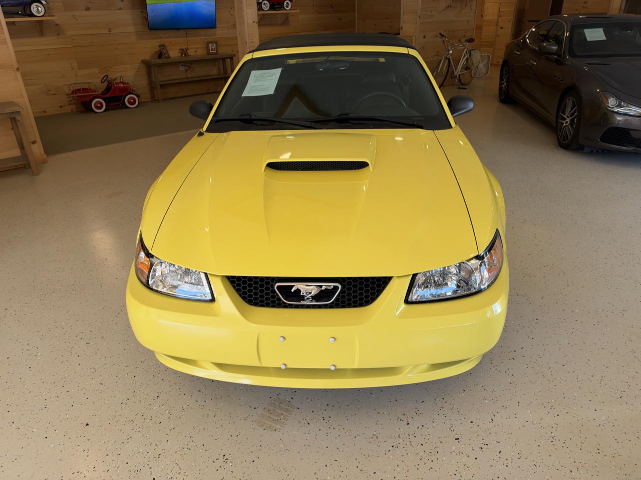 Ford Mustang GT Deluxe Convertible 2001