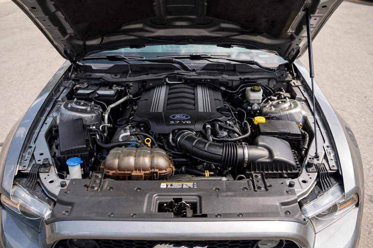 Ford Mustang 2dr Conv V6 2014