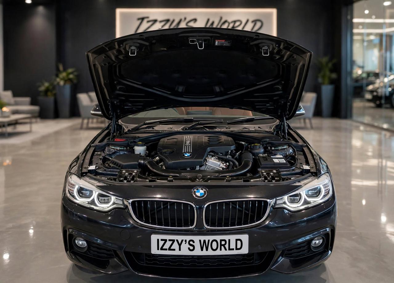 BMW 4 Series 2dr Conv 428i RWD SULEV 2014