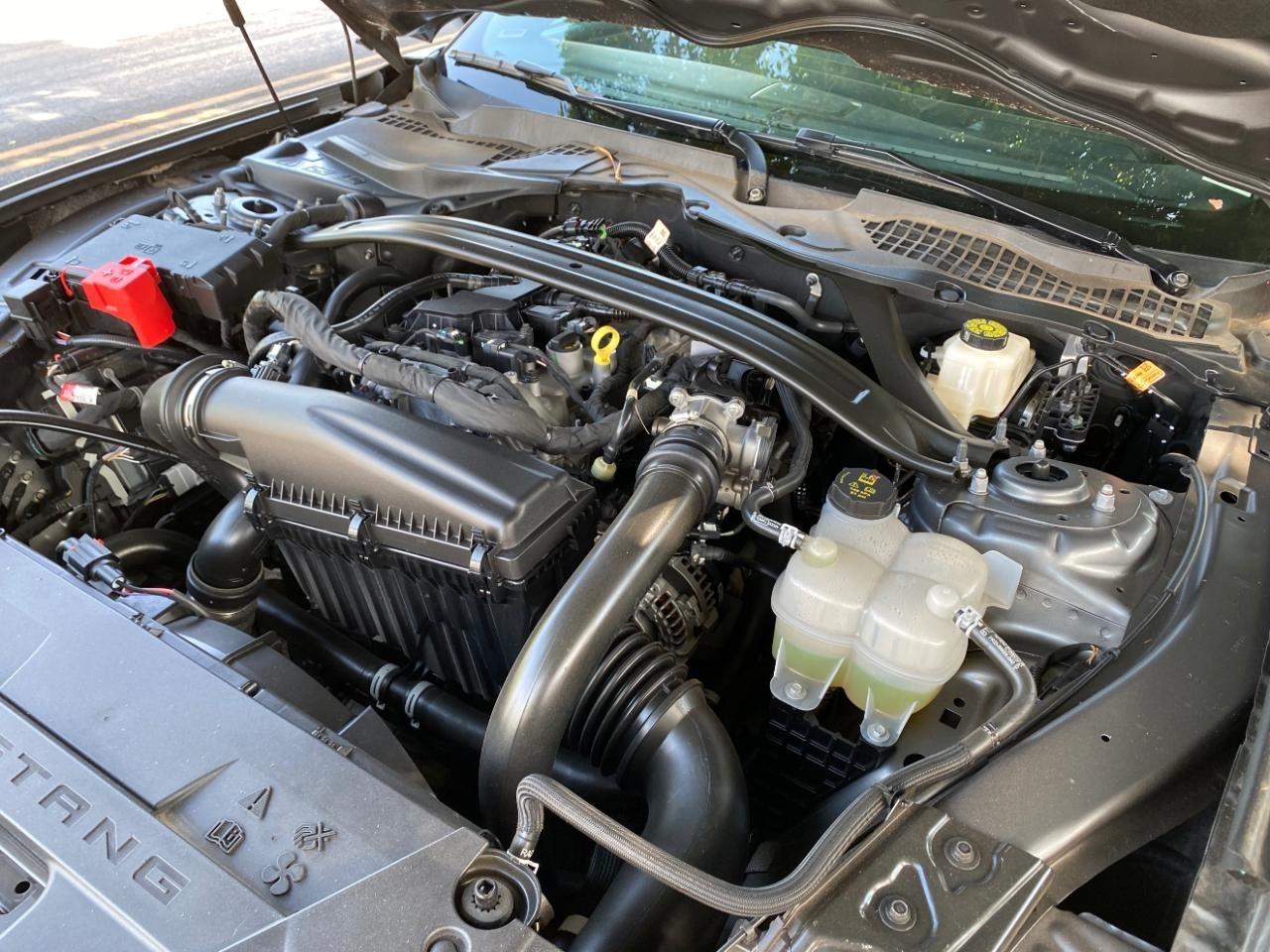 Ford Mustang EcoBoost Premium Convertible 2025