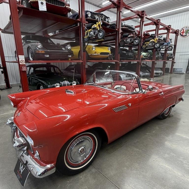 Ford Thunderbird  1955