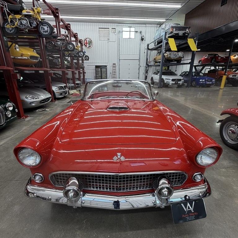 Ford Thunderbird  1955