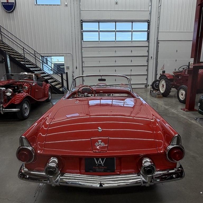 Ford Thunderbird  1955