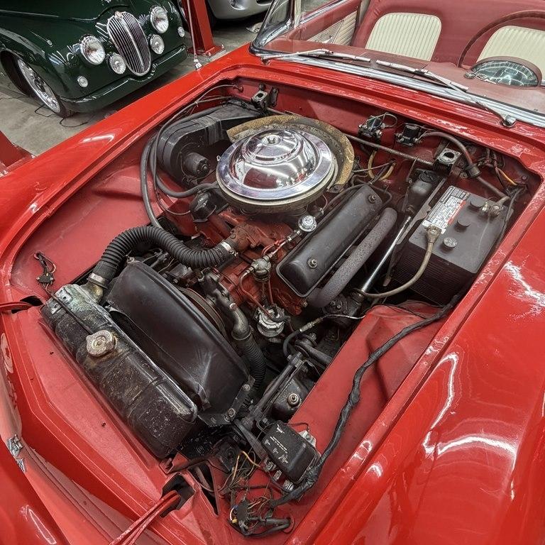 Ford Thunderbird  1955