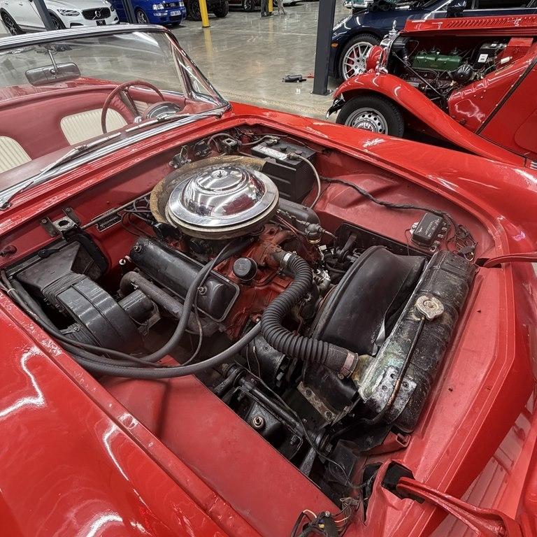 Ford Thunderbird  1955
