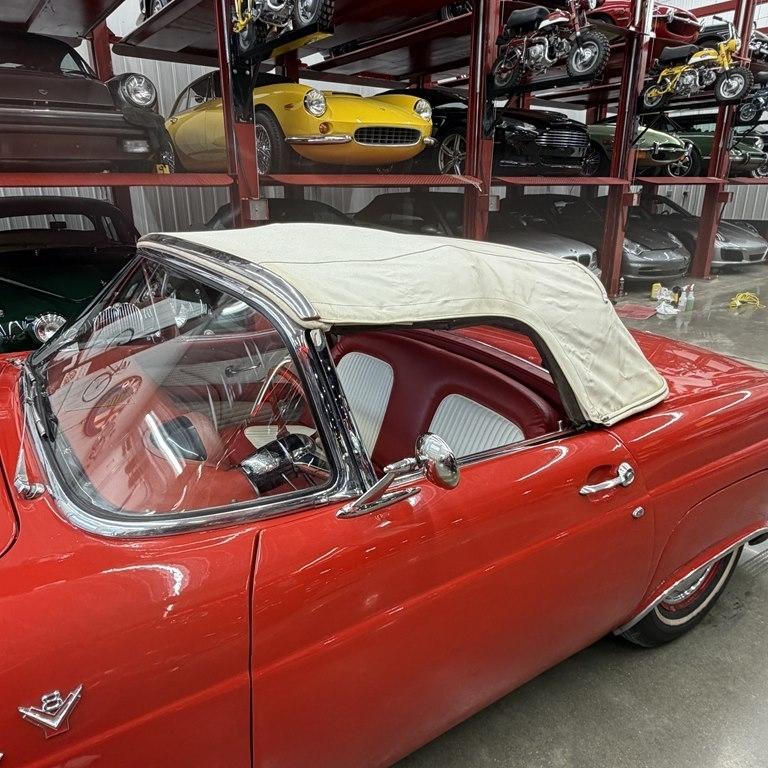 Ford Thunderbird  1955