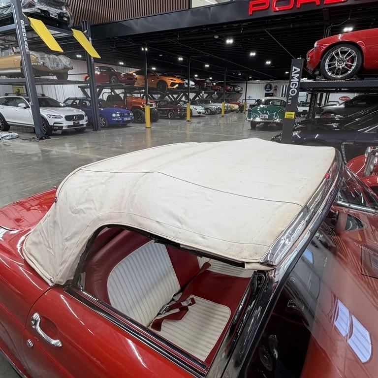 Ford Thunderbird  1955