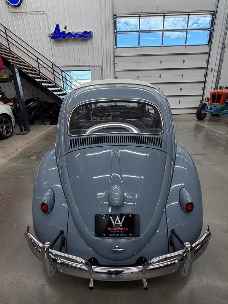 Volkswagen Beetle  1959