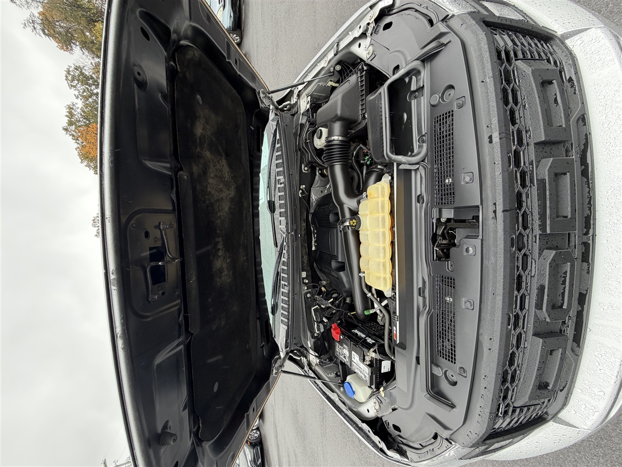 Ford Expedition XLT 4WD 2018