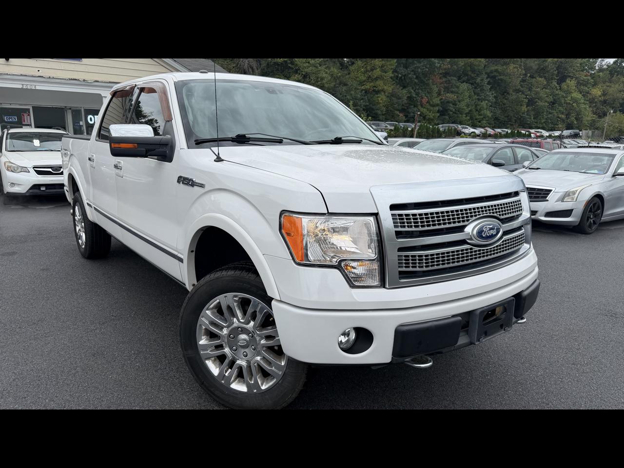 Ford F-150 4WD SuperCrew 145" Platinum 2010