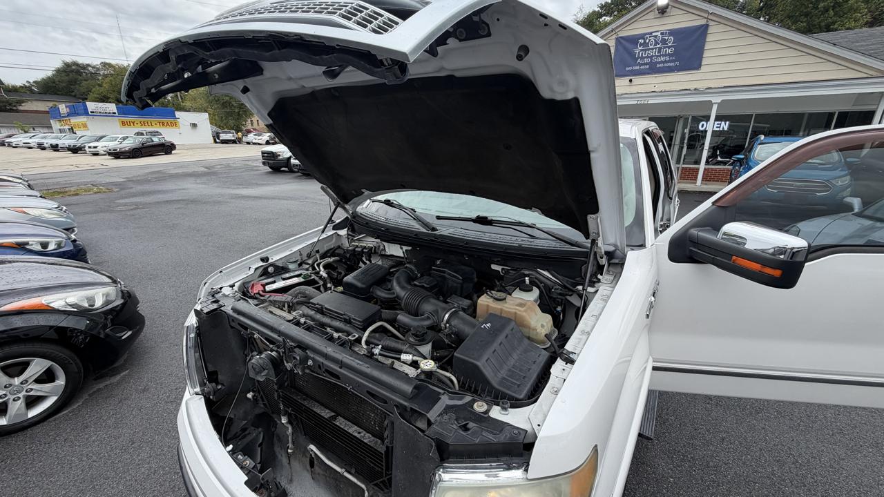 Ford F-150 4WD SuperCrew 145" Platinum 2010