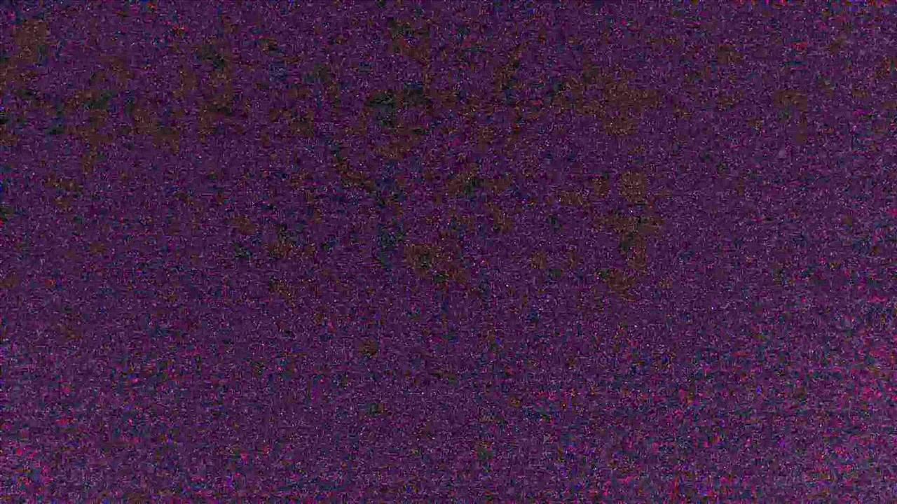 Nissan Frontier 2WD Crew Cab SWB Auto SE 2010