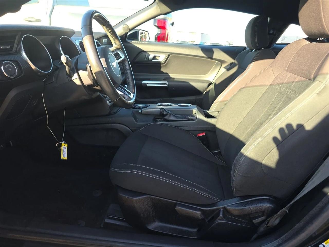 Ford Mustang EcoBoost Fastback 2018