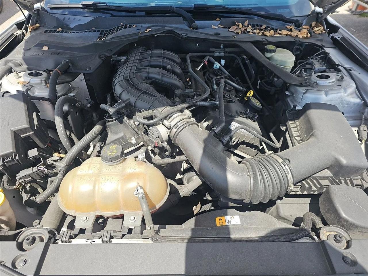 Ford Mustang 2dr Conv V6 2015