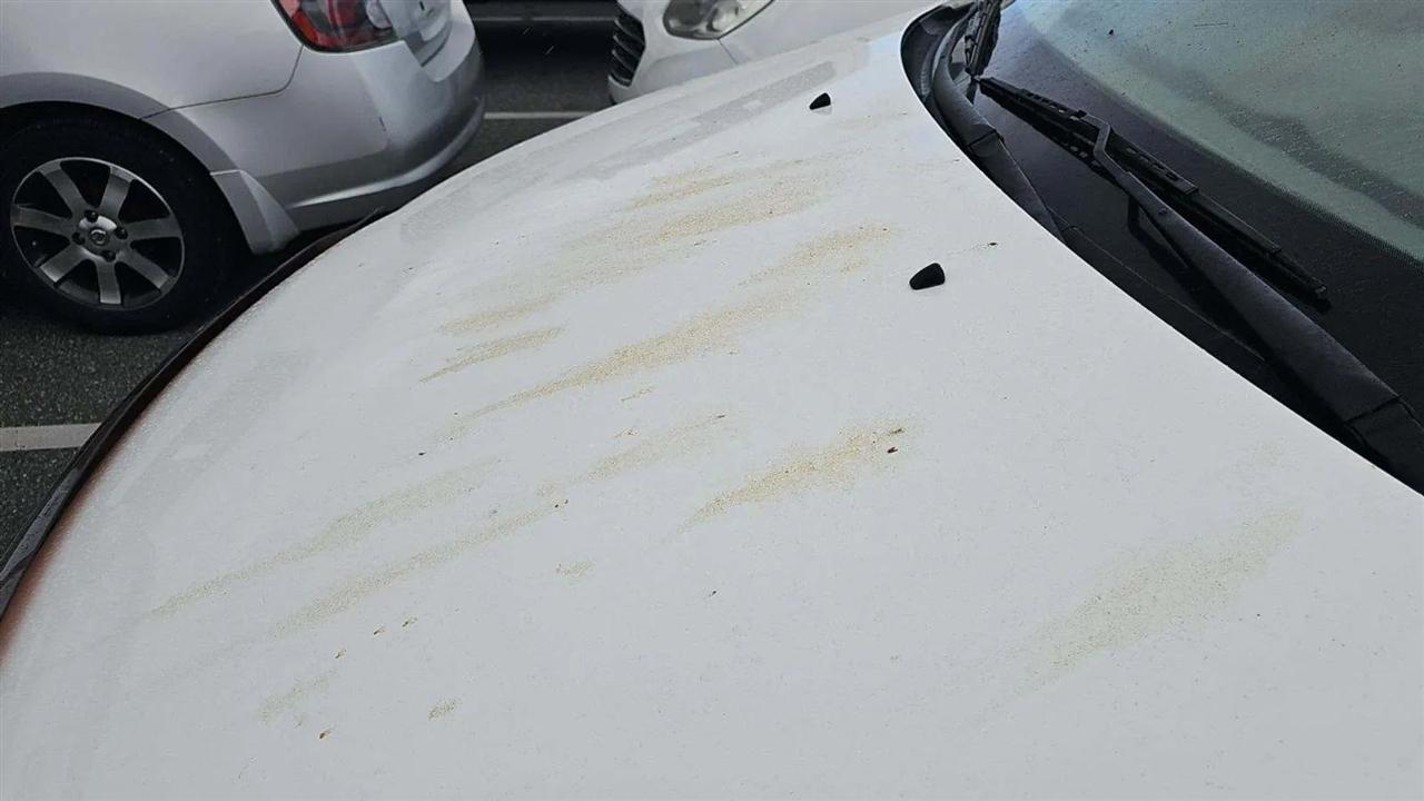 Kia Sedona 4dr LWB LX 2009