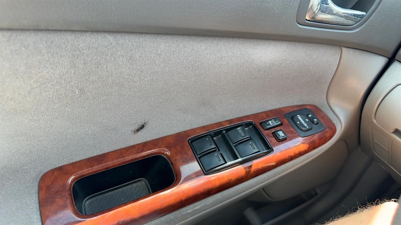 Toyota Camry 4dr Sdn XLE Auto (Natl) 2005