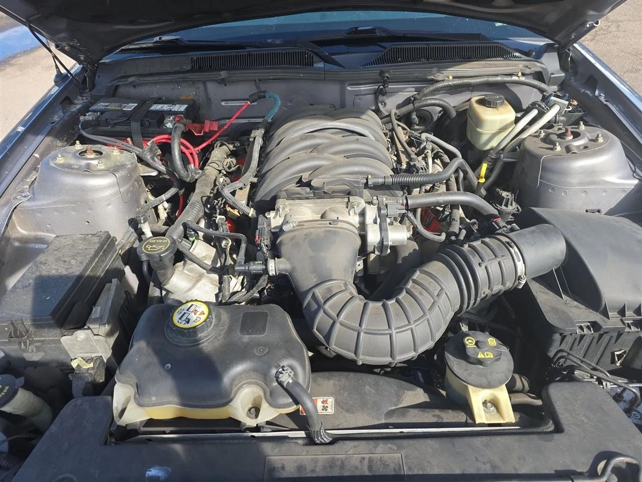 Ford Mustang 2dr Cpe GT Deluxe 2007