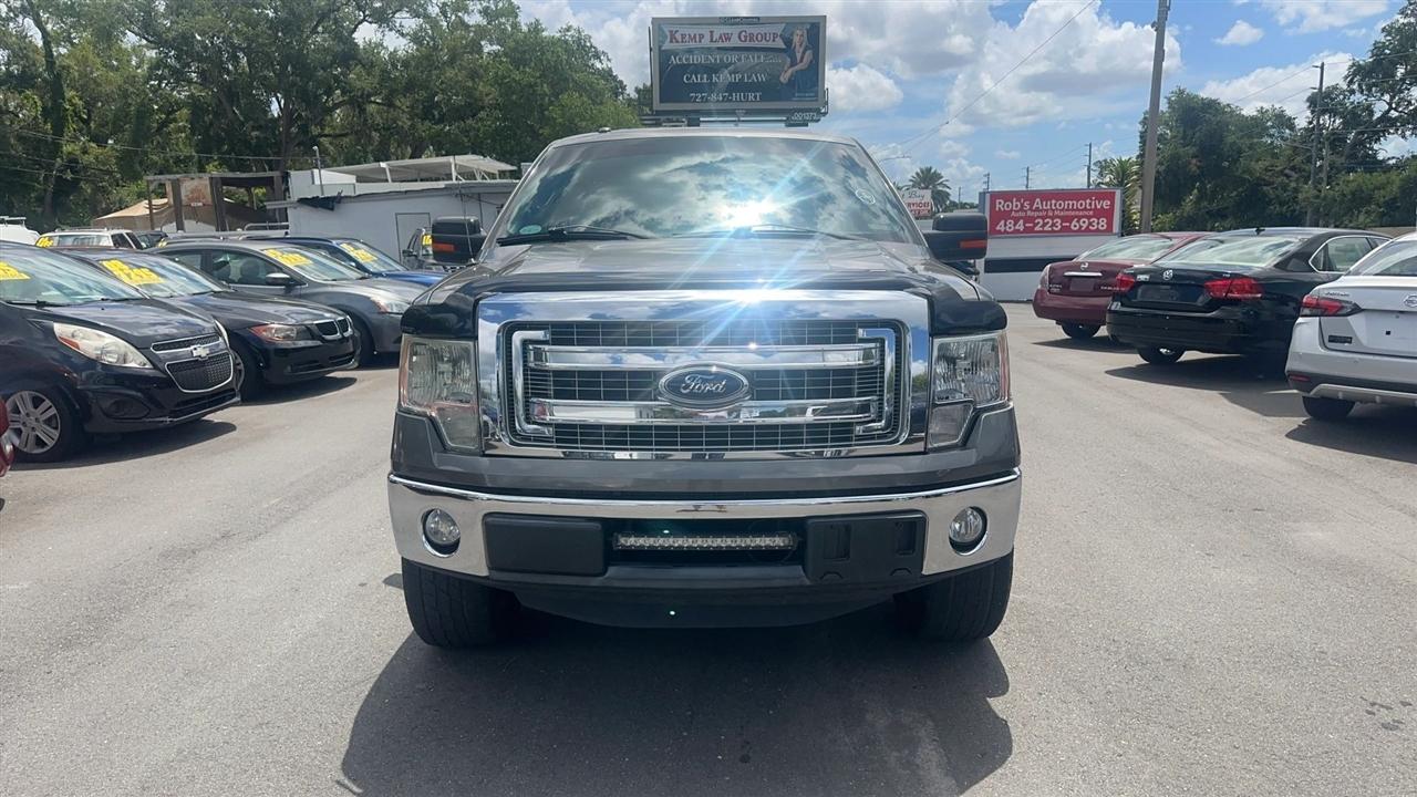 Ford F-150 2WD SuperCrew 145" XLT 2014