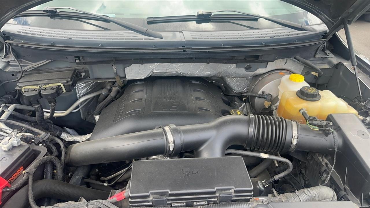 Ford F-150 2WD SuperCrew 145" XLT 2014