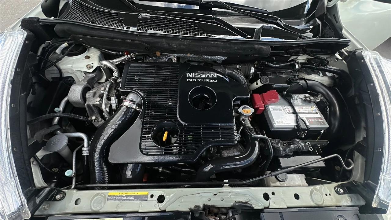 Nissan Juke  2012