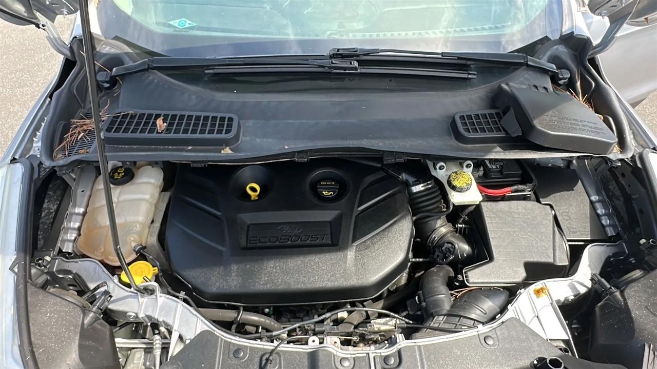 Ford Escape  2014